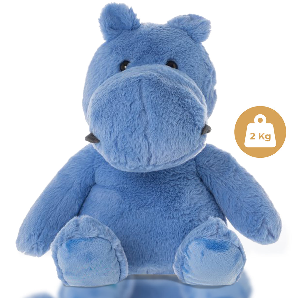Dreambuddy Luma – Gewichtetes Kuscheltier 2 kg | Beruhigendes Plüschtier für Kinder